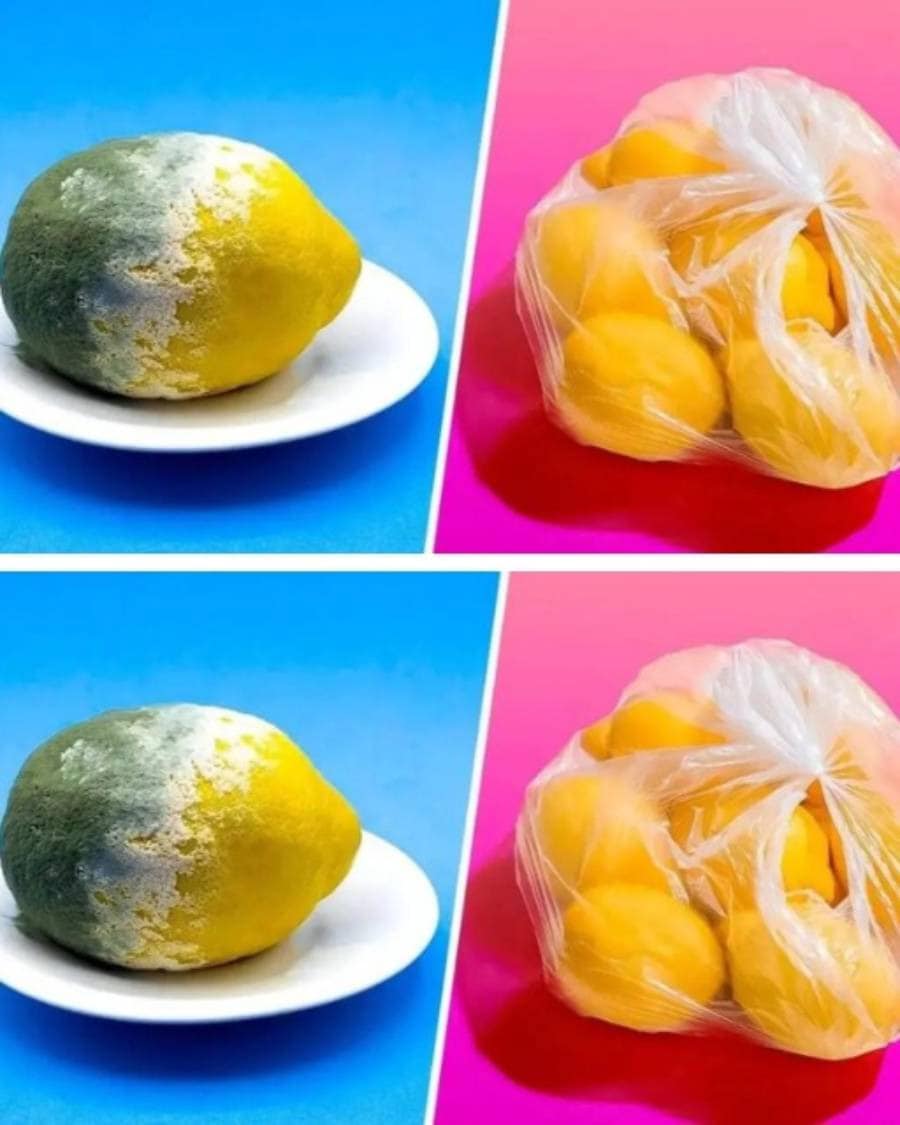 The trick to storing lemons for 3 months or more and preventing them from rotting