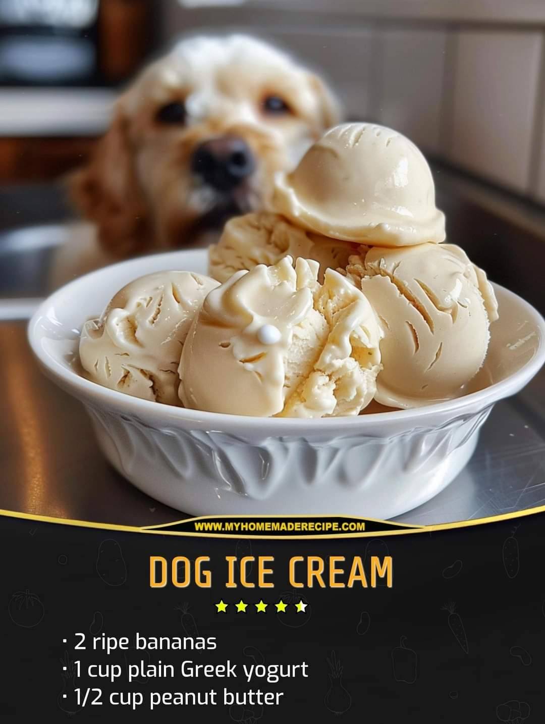 Dog Ice Cream