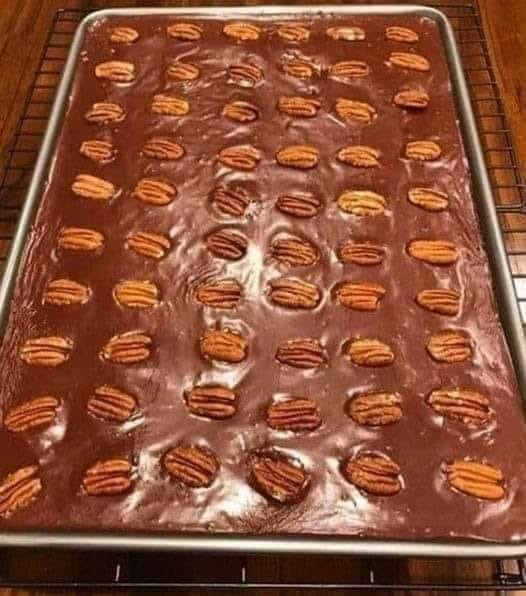 Texas Turtle Sheet Cake