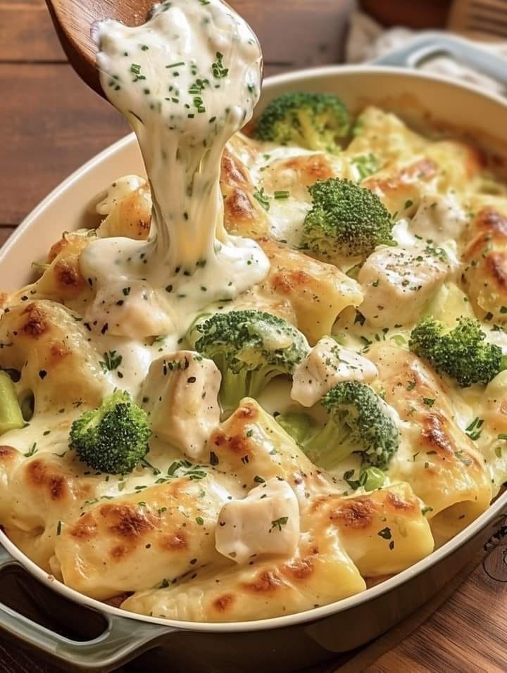 Chicken Broccoli Alfredo Stuffed Shells