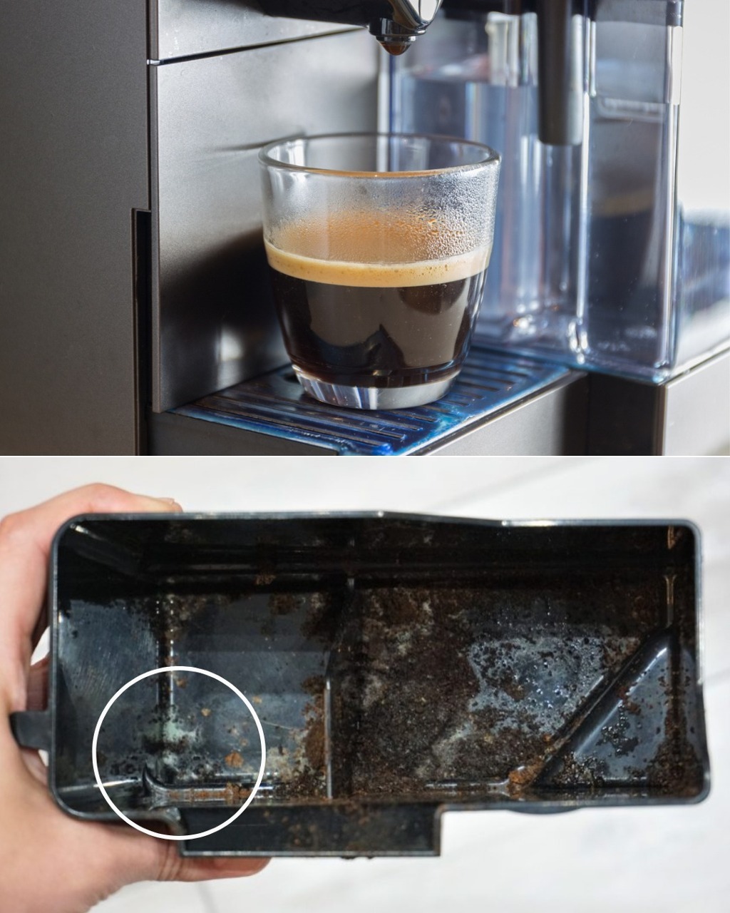 Mould in the coffee machine: how to find it, remove it and avoid it