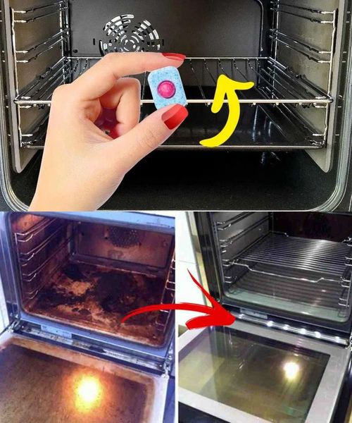 The trick to cleaning the oven “effortlessly”. Burnt fat also disappears