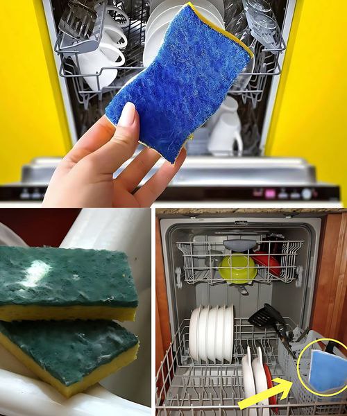 DISHWASHER, ALWAYS PUT A SPONGE IN BEFORE STARTING IT: THE REASON