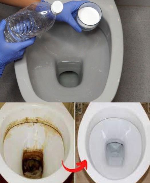 This Natural Mixture Will Make Your Toilet Sparkle in Seconds: Say Goodbye to Dirt