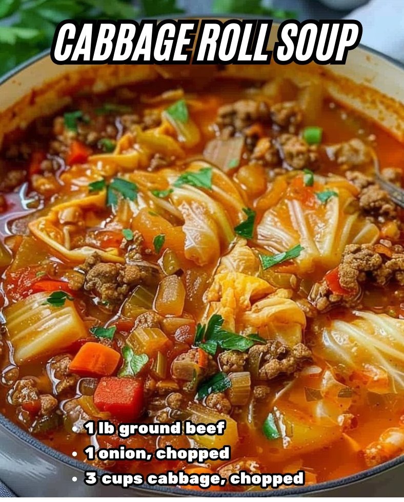 Cabbage Roll Soup 