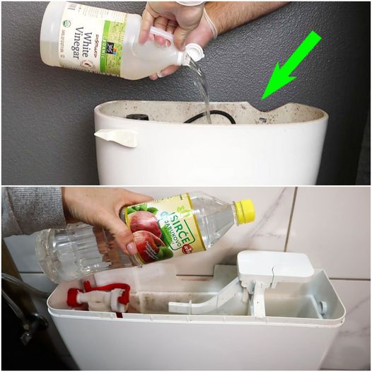 A Plumber Taught Me This Trick for Cleaning Cisterns and Toilets – WITHOUT CHEMICALS: Vinegar in the Toilet Tank