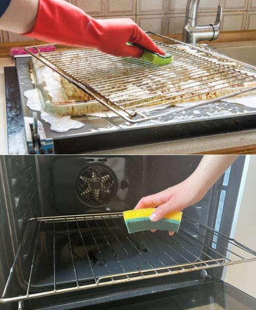 The Sponge’s Method for Cleaning Dirty and Embedded Oven Racks Revealed