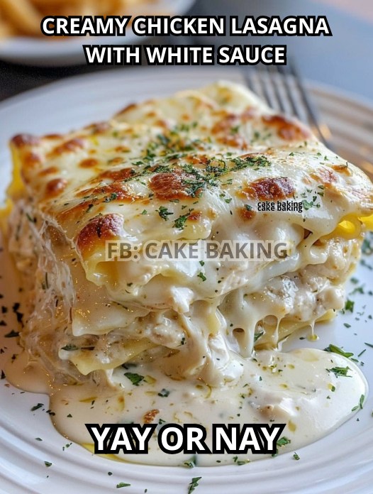 Creamy Chicken Lasagna