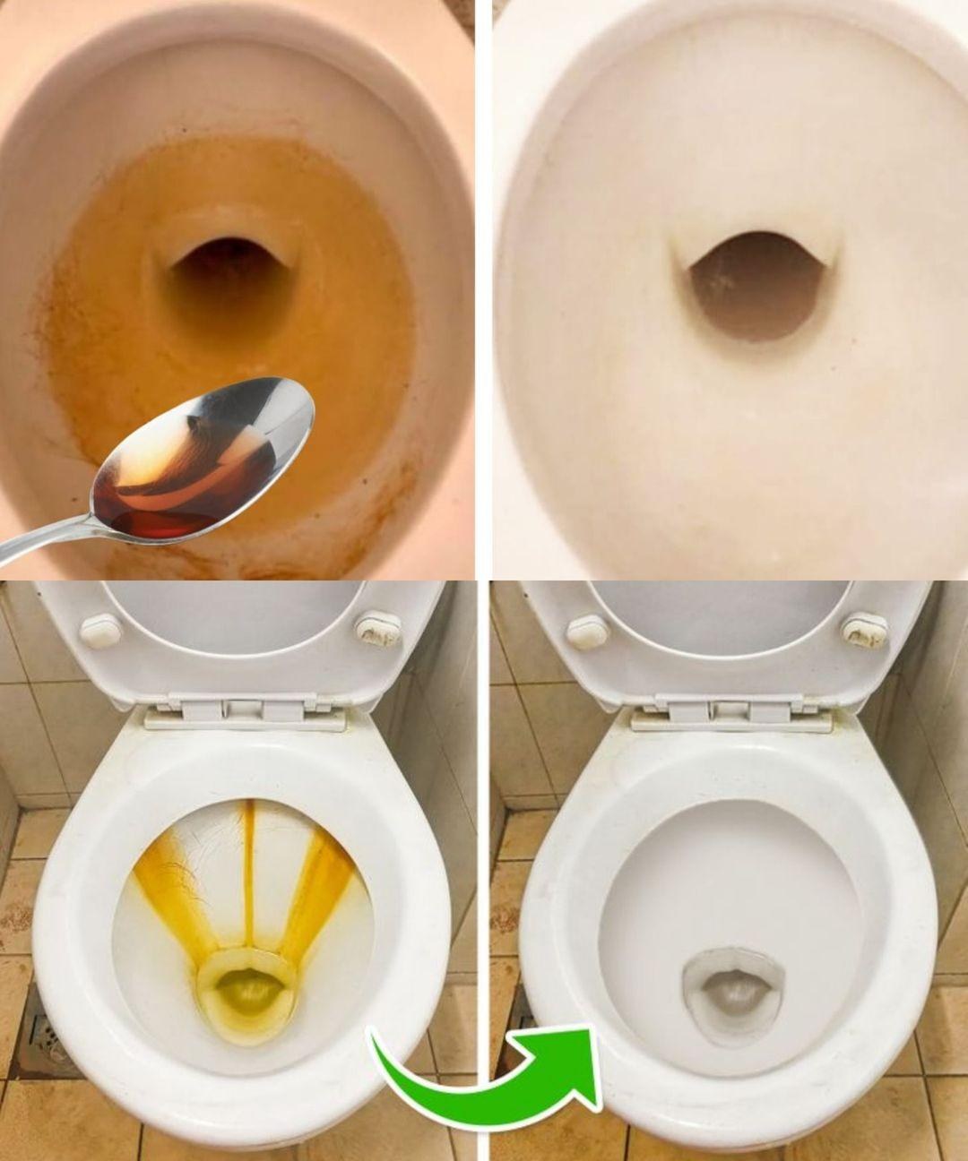 TOILET CLEANING WITHOUT VINEGAR OR BAKING SODA – JUST ONE INGREDIENT