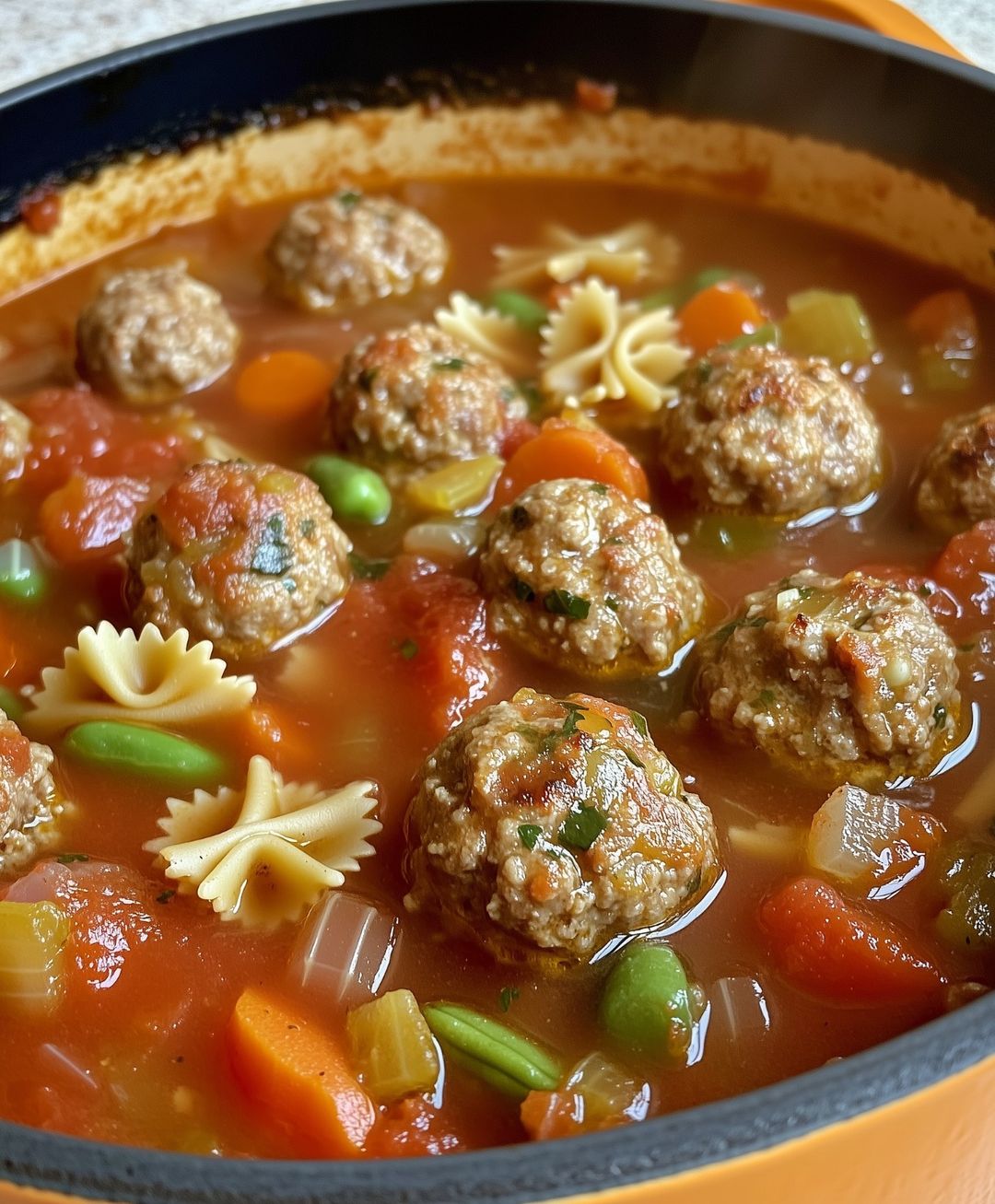 MEATBALL SOUP – Don’t Lose This