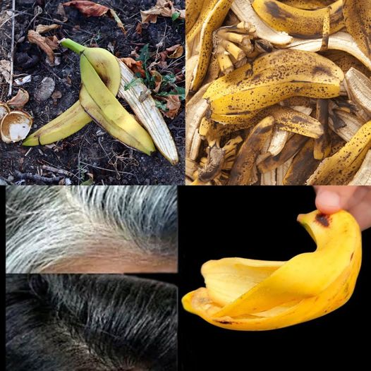 Japanese Secret Revealed: Banish Gray Hair and Boost Hair Growth with Banana Peels