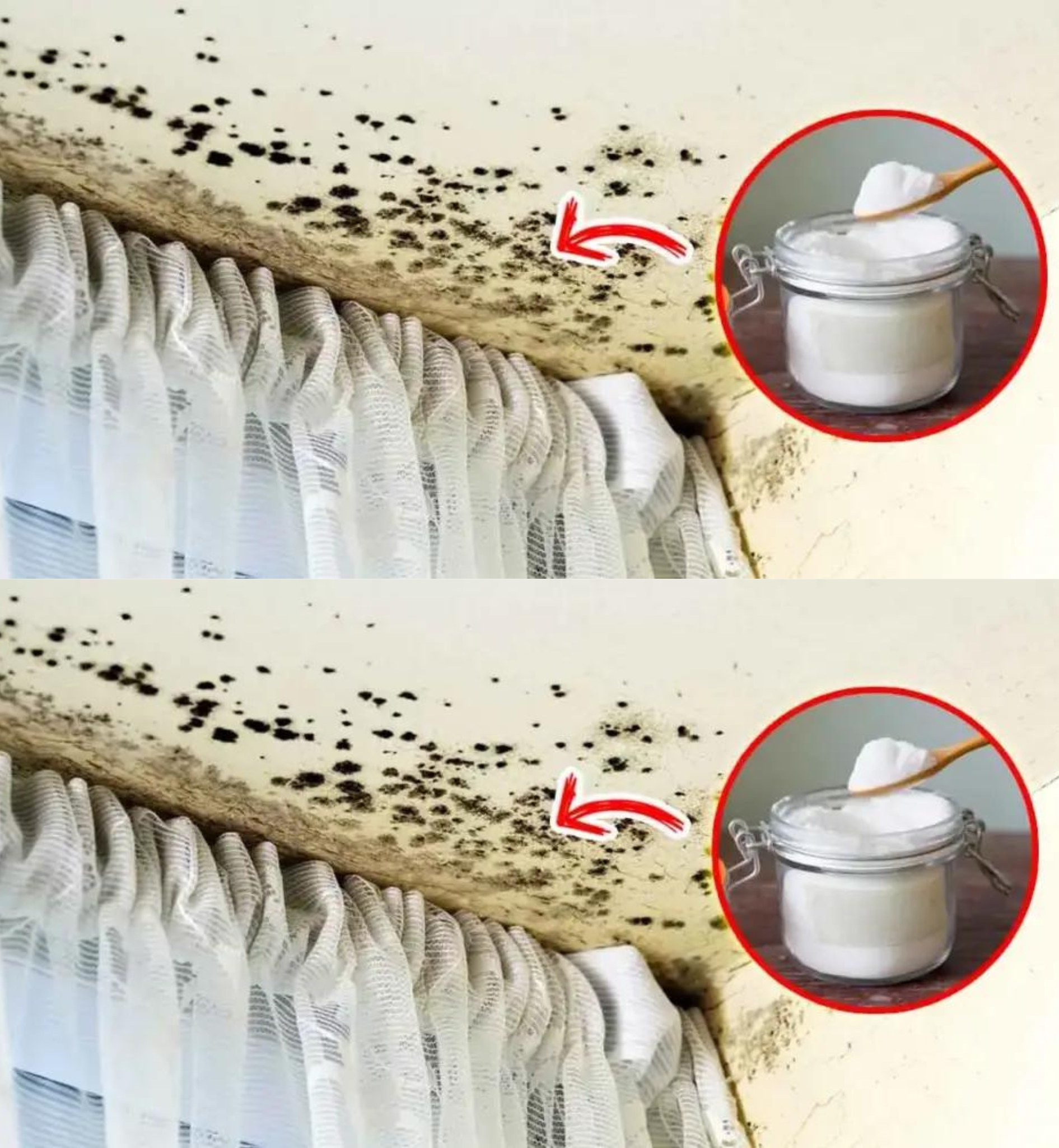 The cool trick to get rid of mold from walls for good