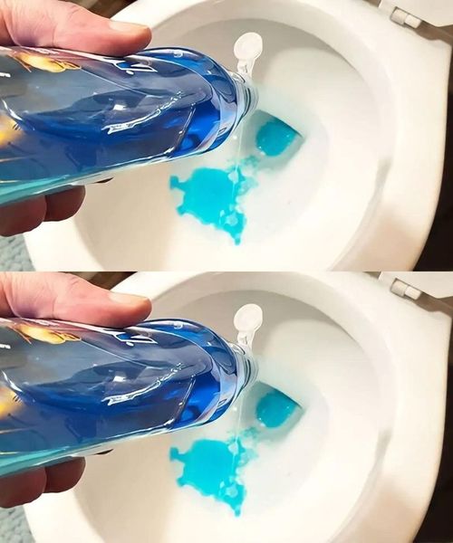 Put dish soap in the toilet: what happens during the night is unpredictable