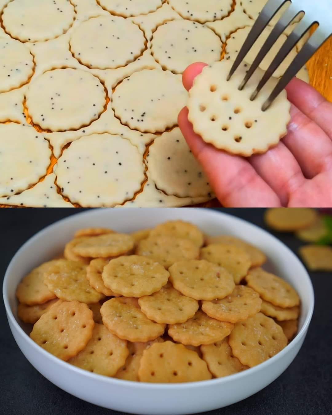 Homemade Salt Crackers with Poppy Seeds and Cheese