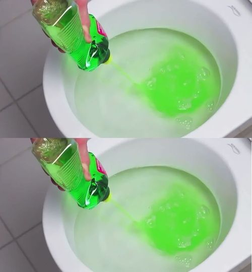 Dish Soap in the Toilet: A Revolutionary Trick for Daily Use