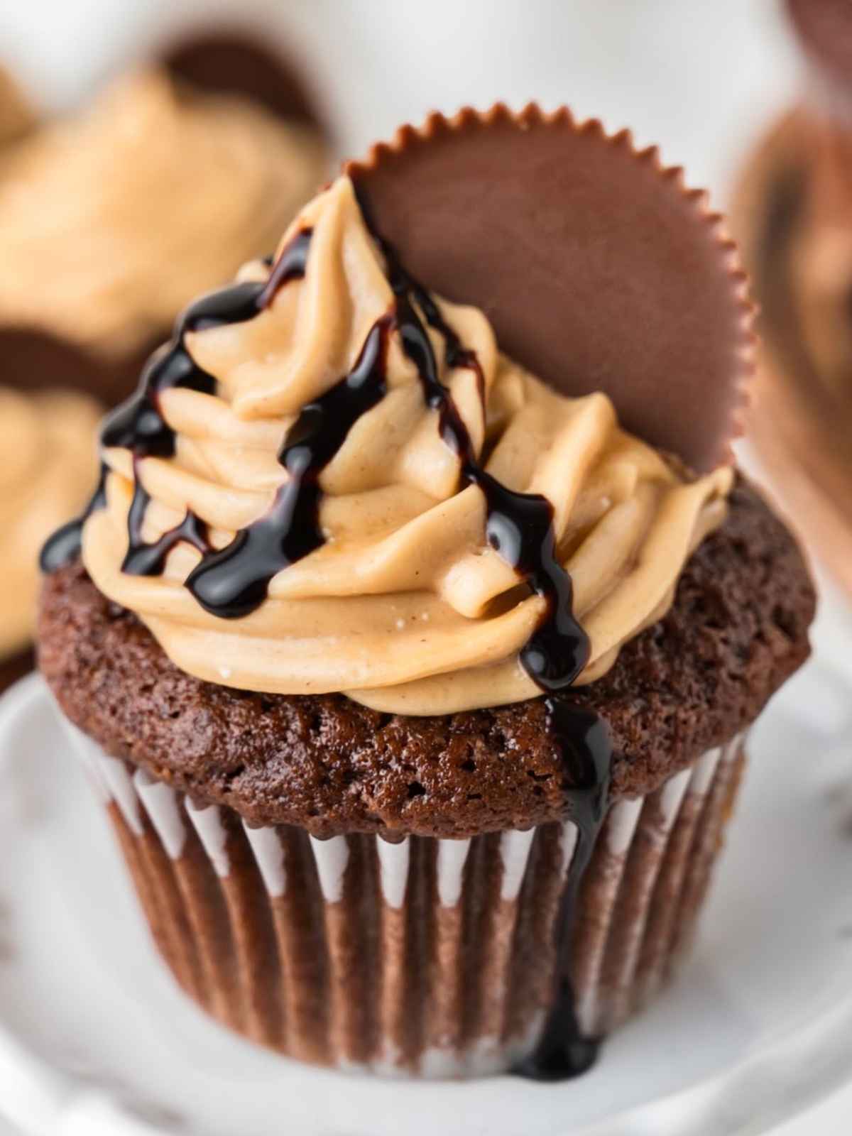  Chocolate Peanut Butter Cupcake