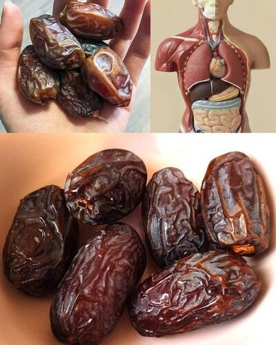 Dates: A Nutritional Powerhouse