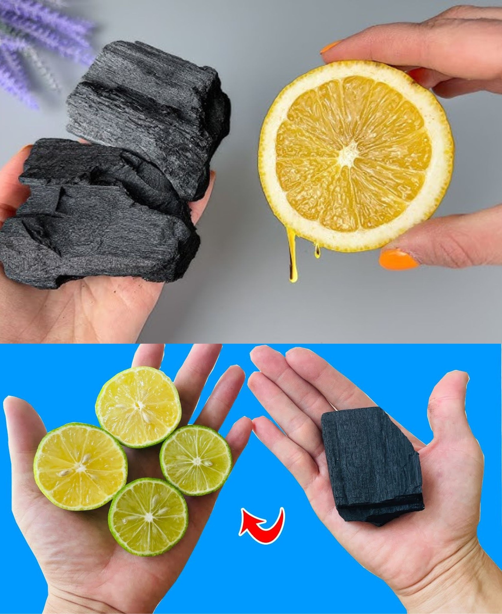 Just Mix LEMON with CHARCOAL and You’ll Never Need to Spend Money at the Market Again