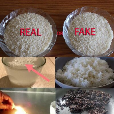 Understanding Plastic Rice