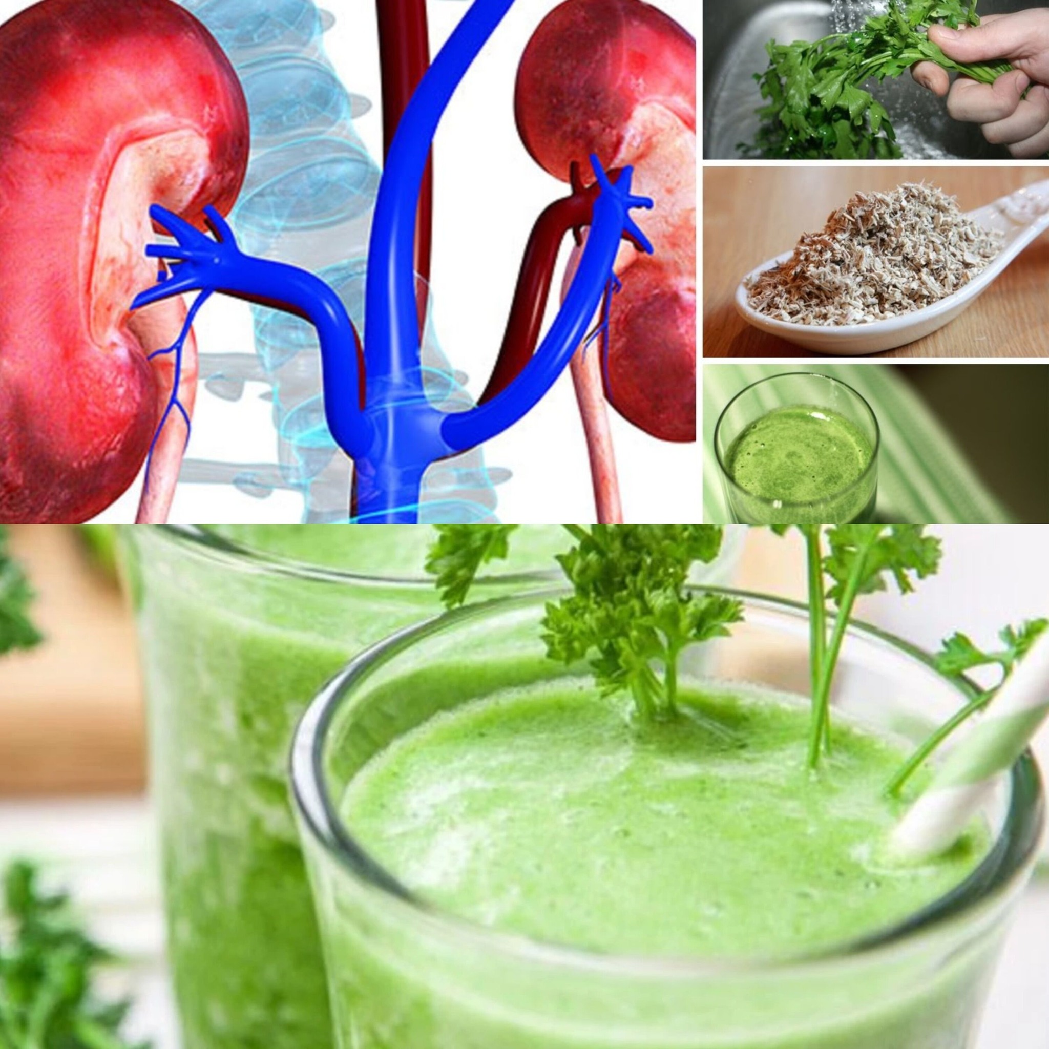 7 Best Herbs for Kidney Cleansing