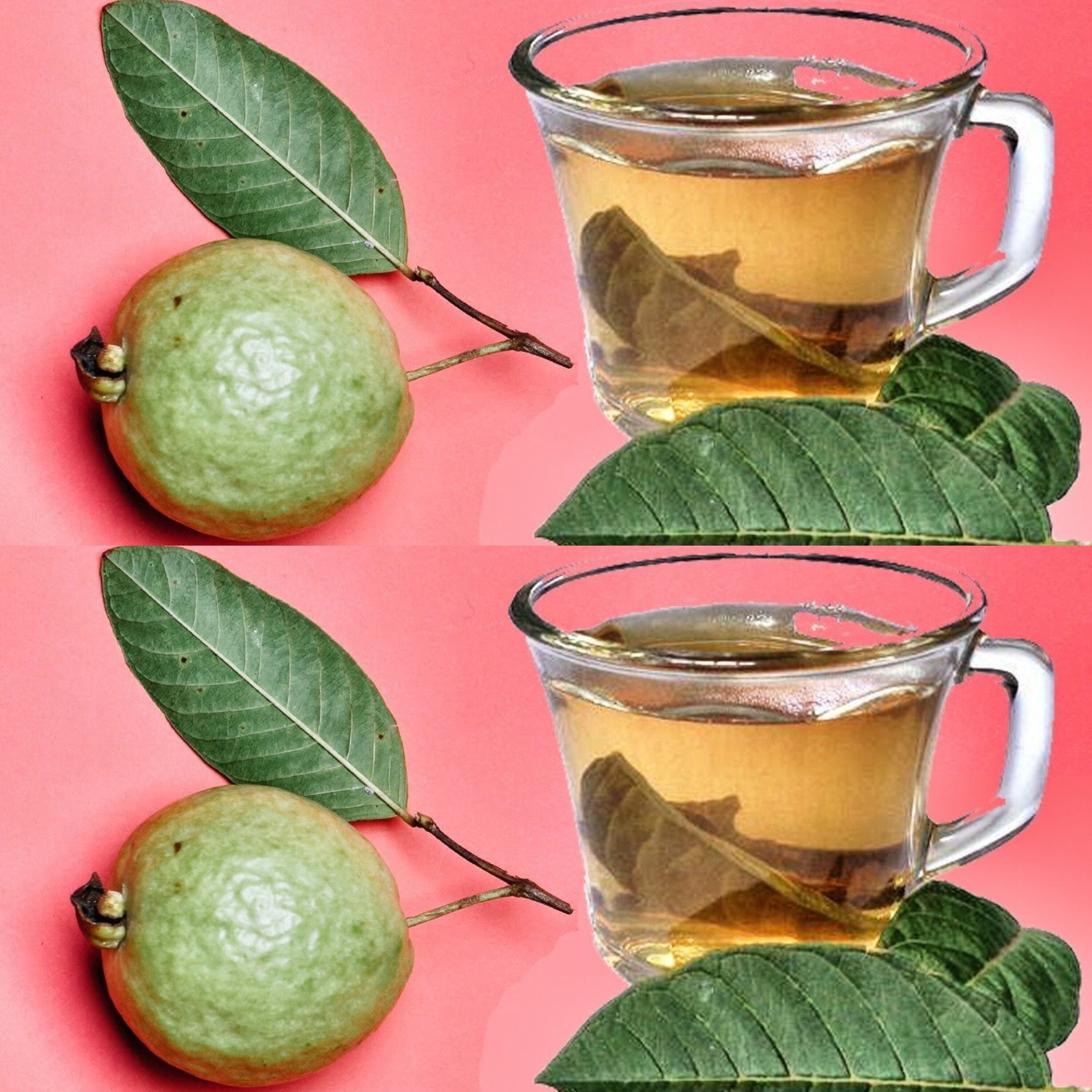 Here’s What Happens If You Drink Guava Leaf Tea 🍃 – 3 Benefits