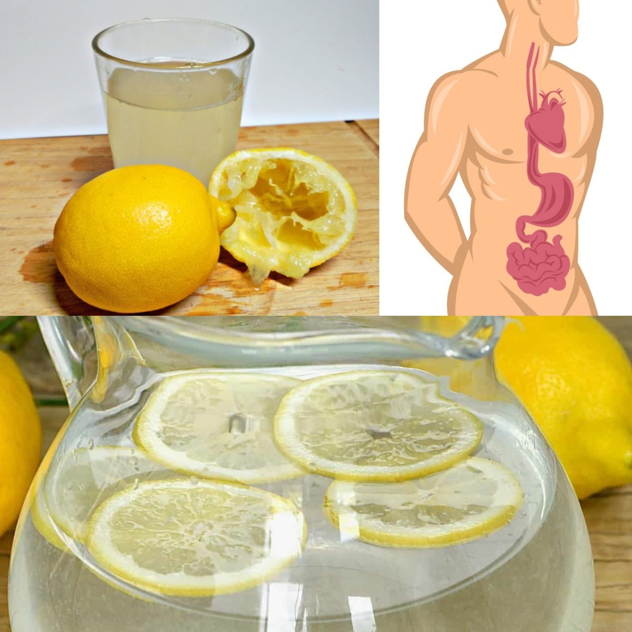 “They Say Drinking Lemon Water in the Morning Is Good for You… Here’s Why”