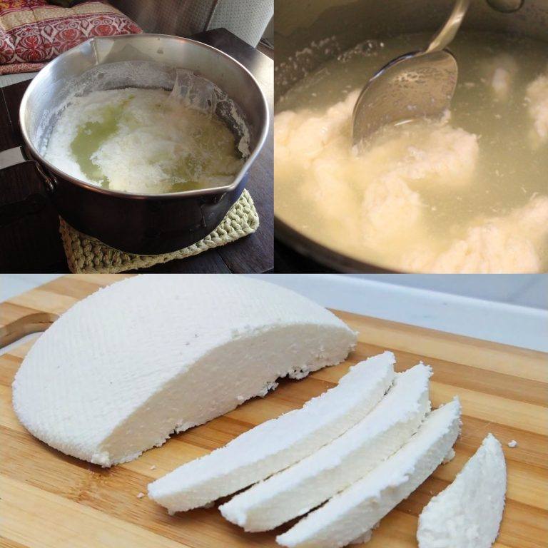 Stop Buying Cheese: Make Your Own with Just Milk and Vinegar!