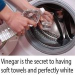 Yes, vinegar helps clean the washing machine thoroughly: here’s how to use it