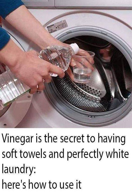 Yes, vinegar helps clean the washing machine thoroughly: here’s how to use it