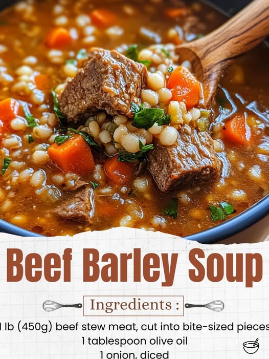 Beef Barley Soup