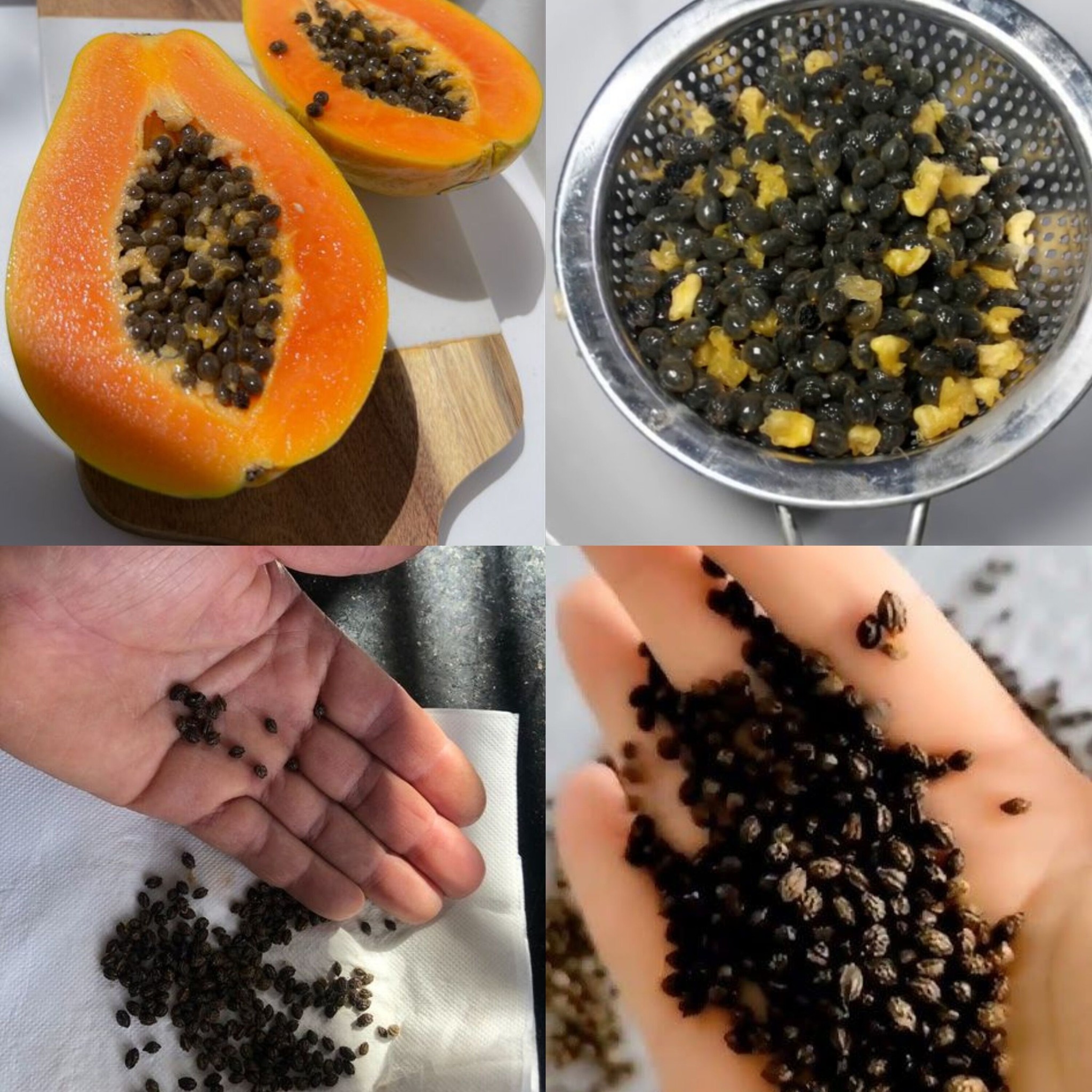 How to Eat Papaya Seeds: A Guide to Their Benefits and Safe Usage