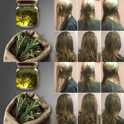  Black oil triggers insane hair growth.