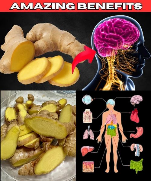 What Happens to Your Body When You Eat Ginger Every Day