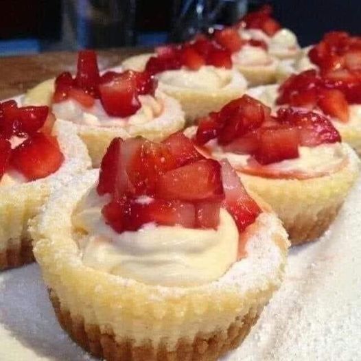 mini cheesecake bites