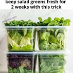 You Can Extend the Shelf Life of Salad Greens! Here’s the Best Way to Do It