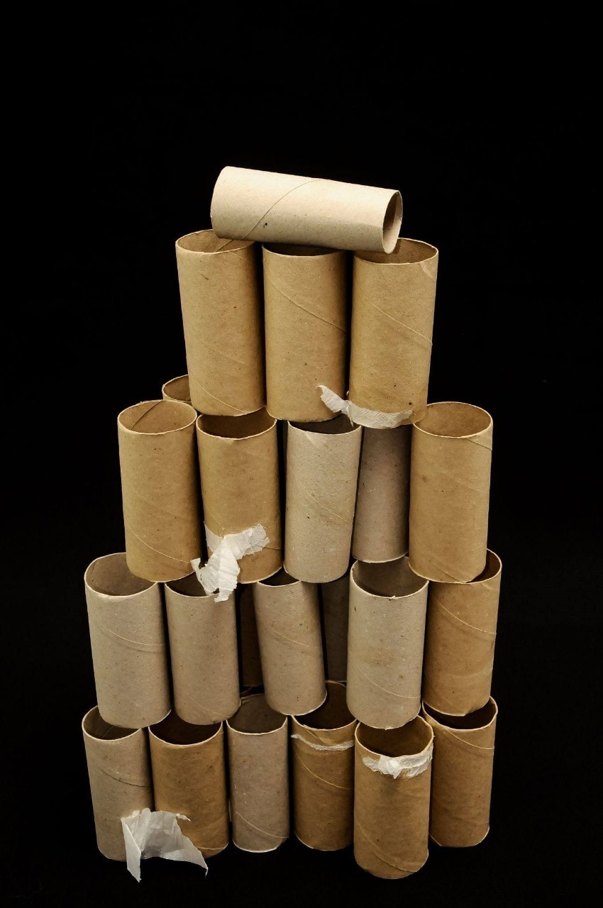 14 Creative Ways to Recycle Toilet Paper Rolls in Your Garden..