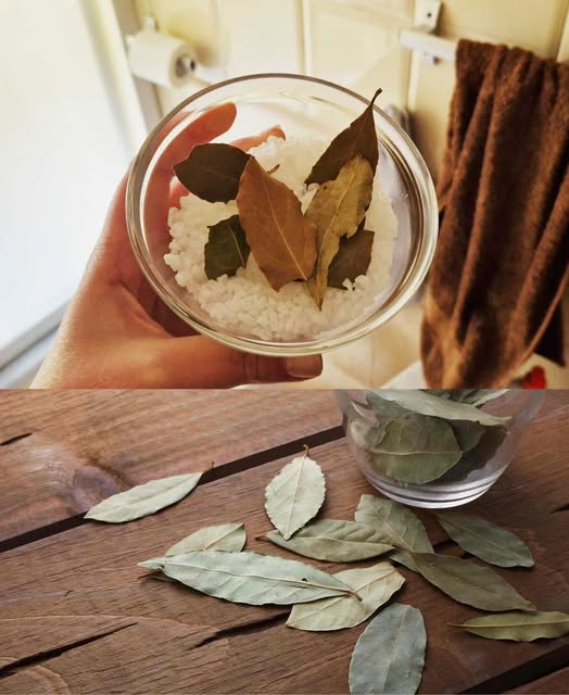 Salt and bay leaves are worth gold at home: the many hidden uses