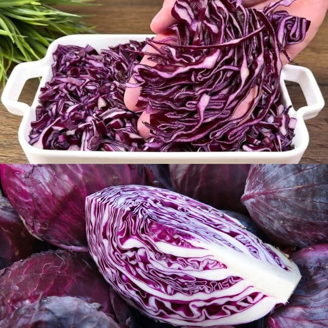 Forget Blood Sugar Problems! Red Cabbage is a Real Treasure for Your Health