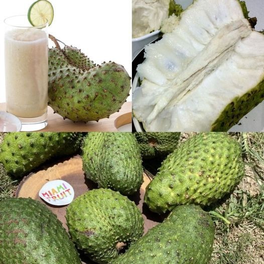 The Health Benefits of Soursop Juice