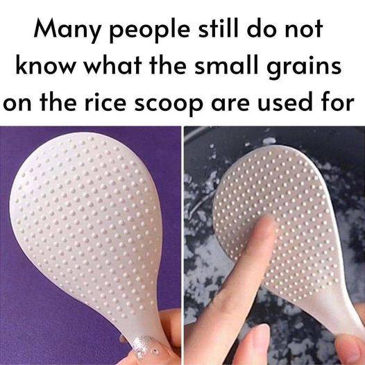 the small grains on the rice scoop are used for